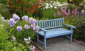 A Garden Bench