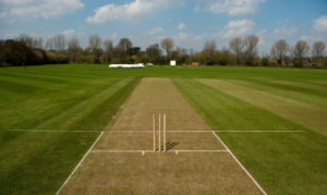 Half a Cricket Pitch