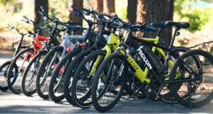 Six Full-Sized Bicycles