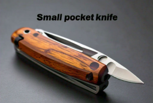 Small Pocket Knife